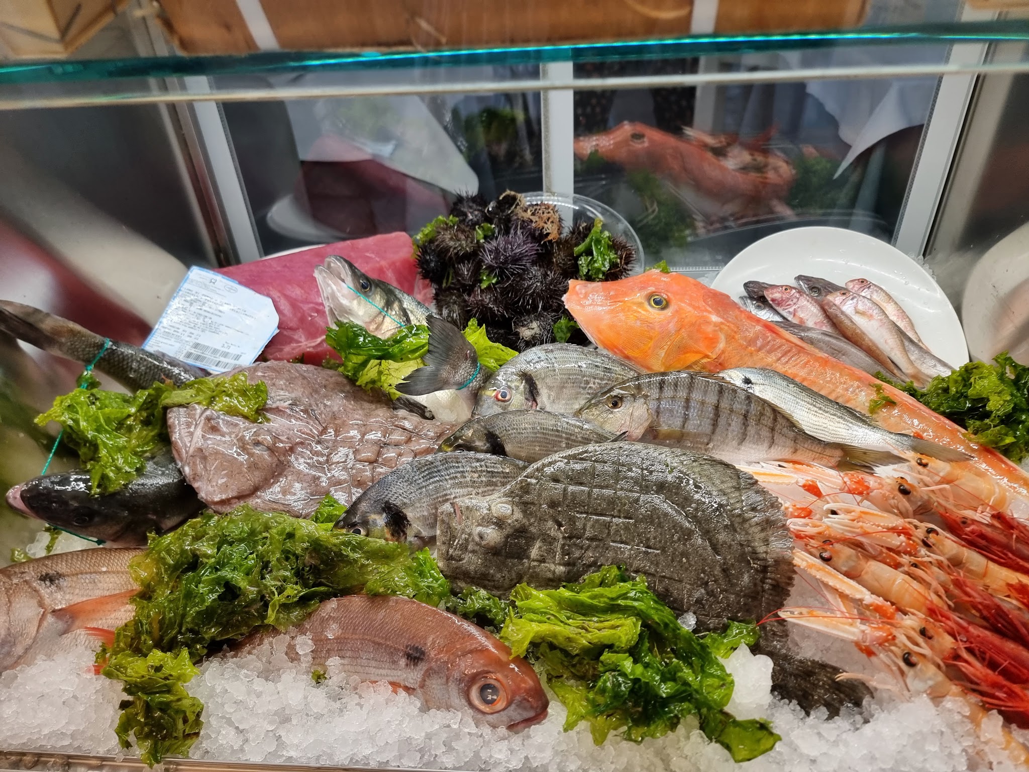 An assortment of fresh fish and seafood displayed on ice